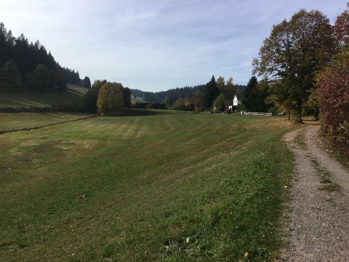 Gemuetliche 1Z Fewo In Schoenwald Mit Balkon, Schwimmbad, Sauna, Fitness Екстер'єр фото